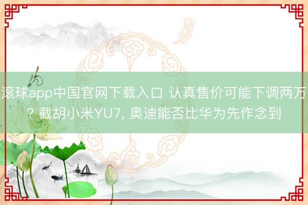 滚球app中国官网下载入口 认真售价可能下调两万? 截胡小米YU7， 奥迪能否比华为先作念到