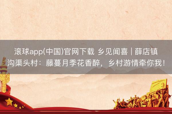 滚球app(中国)官网下载 乡见闻喜 | 薛店镇沟渠头村：藤蔓月季花香醉，乡村游情牵你我！