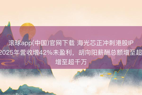 滚球app(中国)官网下载 海光芯正冲刺港股IPO：2025年营收增42%未盈利，胡向阳薪酬总额增至超千万