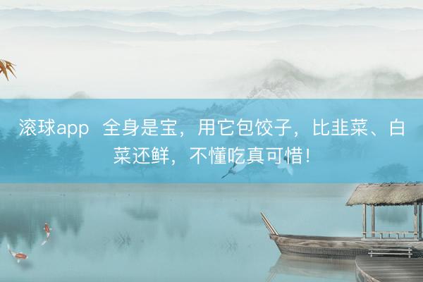 滚球app  全身是宝，用它包饺子，<a href=