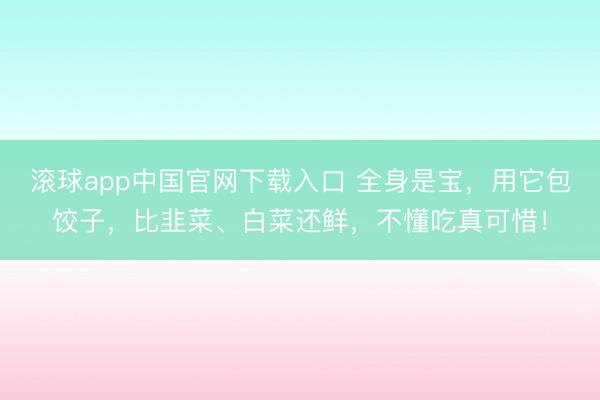 滚球app中国官网下载入口 全身是宝，用它包饺子，<a href=