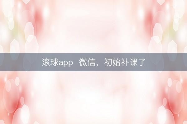 滚球app  微信，初始补课了