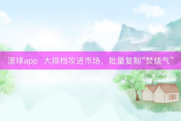 滚球app  大排档攻进市场，批量复制“焚烧气”