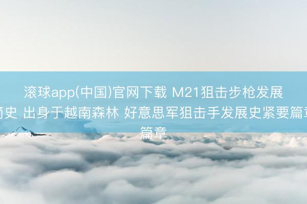 滚球app(中国)官网下载 M21狙击步枪发展简史 出身于越南森林 好意思军狙击手发展史紧要篇章