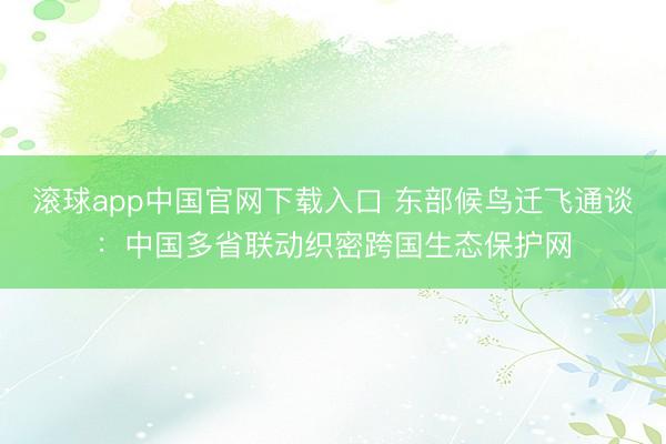 滚球app中国官网下载入口 东部候鸟迁飞通谈：中国多省联动织密跨国生态保护网