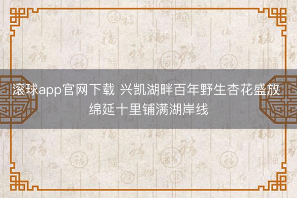 滚球app官网下载 兴凯湖畔百年野生杏花盛放 绵延十里铺满湖岸线