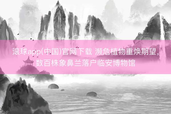 滚球app(中国)官网下载 濒危植物重焕期望，数百株象鼻兰落户临安博物馆