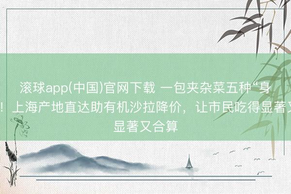滚球app(中国)官网下载 一包夹杂菜五种“身份证”！上海产地直达助有机沙拉降价，让市民吃得显著又合算