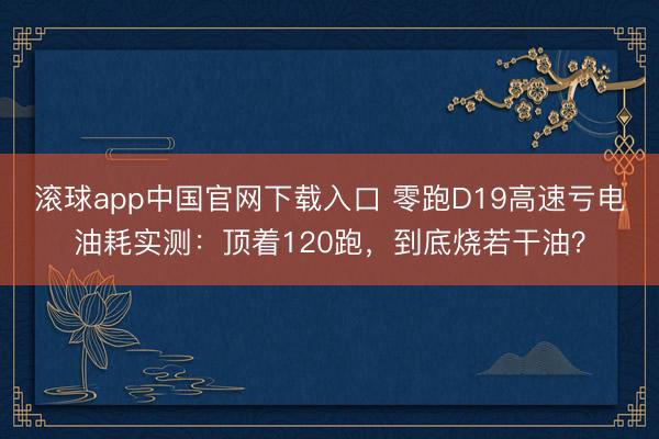 滚球app中国官网下载入口 零跑D19高速亏电油耗实测：顶着120跑，到底烧若干油？