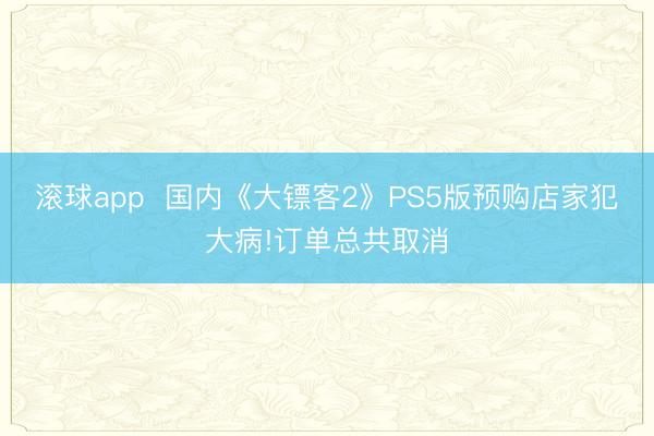 滚球app  国内《大镖客2》PS5版预购店家犯大病!订单总共取消