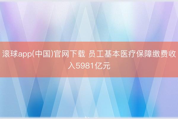 滚球app(中国)官网下载 员工基本医疗保障缴费收入5981亿元