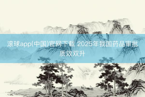 滚球app(中国)官网下载 2025年我国药品审批质效双升
