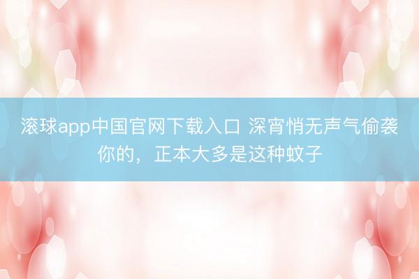 滚球app中国官网下载入口 深宵悄无声气偷袭你的，正本大多是这种蚊子