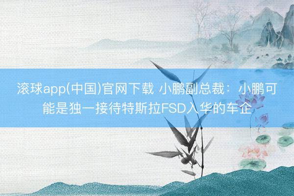 滚球app(中国)官网下载 小鹏副总裁：小鹏可能是独一接待特斯拉FSD入华的车企