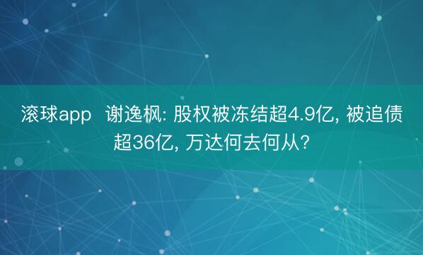 滚球app  谢逸枫: 股权被冻结超4.9亿， 被追债超36亿， 万达何去何从?