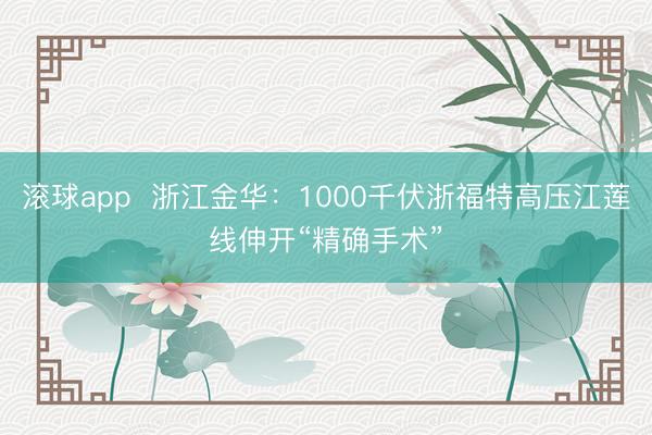 滚球app  浙江金华：1000千伏浙福特高压江莲线伸开“精确手术”