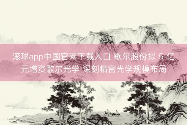 滚球app中国官网下载入口 歌尔股份拟 5 亿元增资歌尔光学 深刻精密光学规模布局