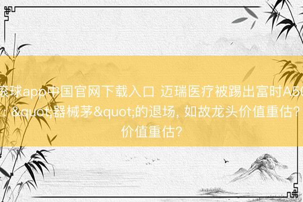 滚球app中国官网下载入口 迈瑞医疗被踢出富时A50: "器械茅"的退场, 如故龙头价值重估?