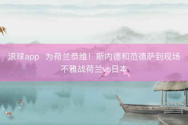 滚球app  为荷兰恭维！斯内德和范德萨到现场不雅战荷兰vs日本