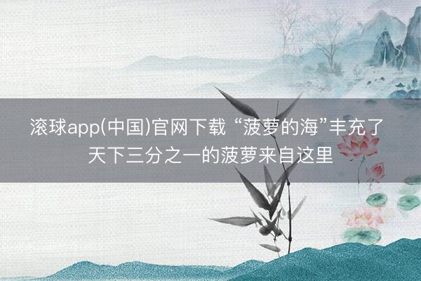 滚球app(中国)官网下载 “菠萝的海”丰充了 天下三分之一的菠萝来自这里