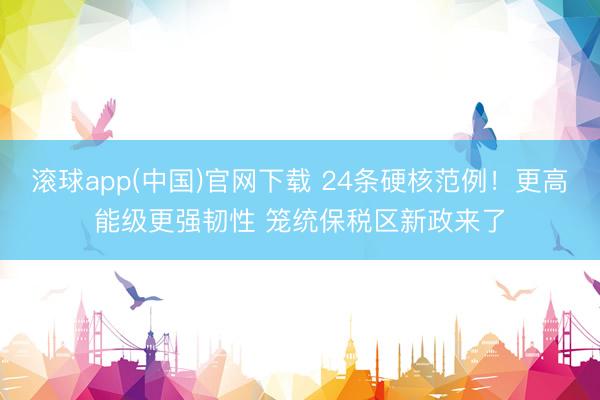 滚球app(中国)官网下载 24条硬核范例！更高能级更强韧性 笼统保税区新政来了