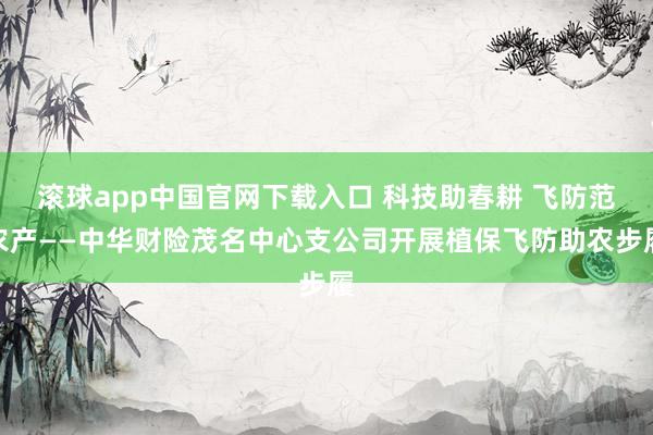 滚球app中国官网下载入口 科技助春耕 飞防范农产——中华财险茂名中心支公司开展植保飞防助农步履
