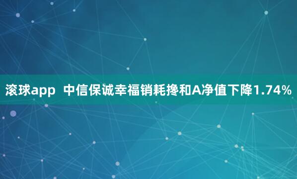 滚球app  中信保诚幸福销耗搀和A净值下降1.74%